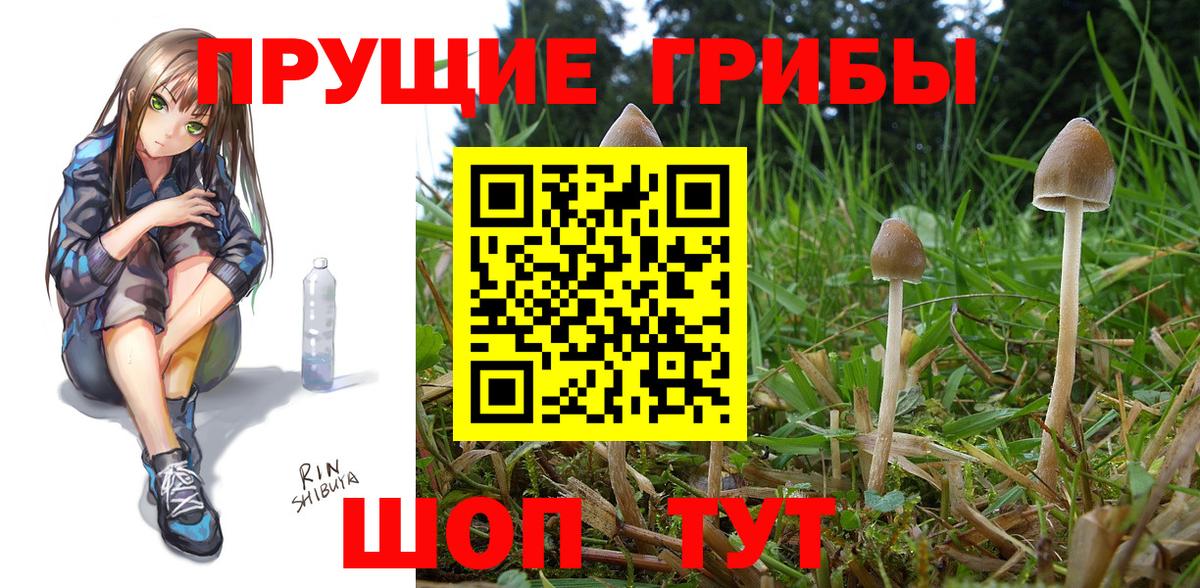 Урай  Псилоцибиновые грибы Cubensis  Галлюциногенные грибы Psilocybine cubensis  Вход с VPN 